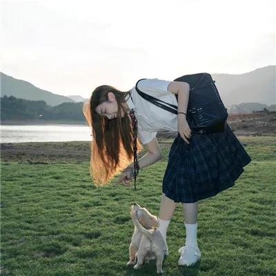 麻雀春天